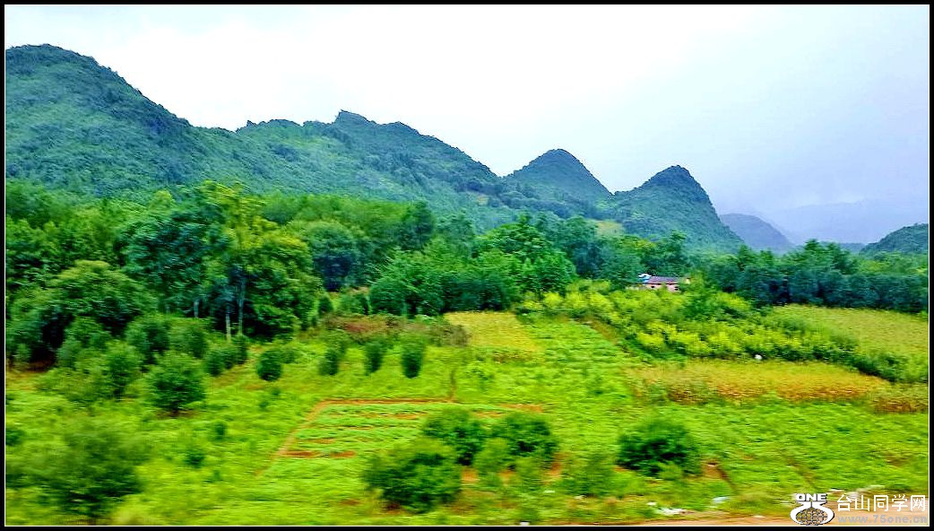 20150725_114749.jpg