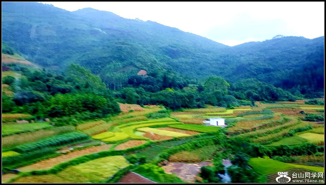 20150725_114934.jpg
