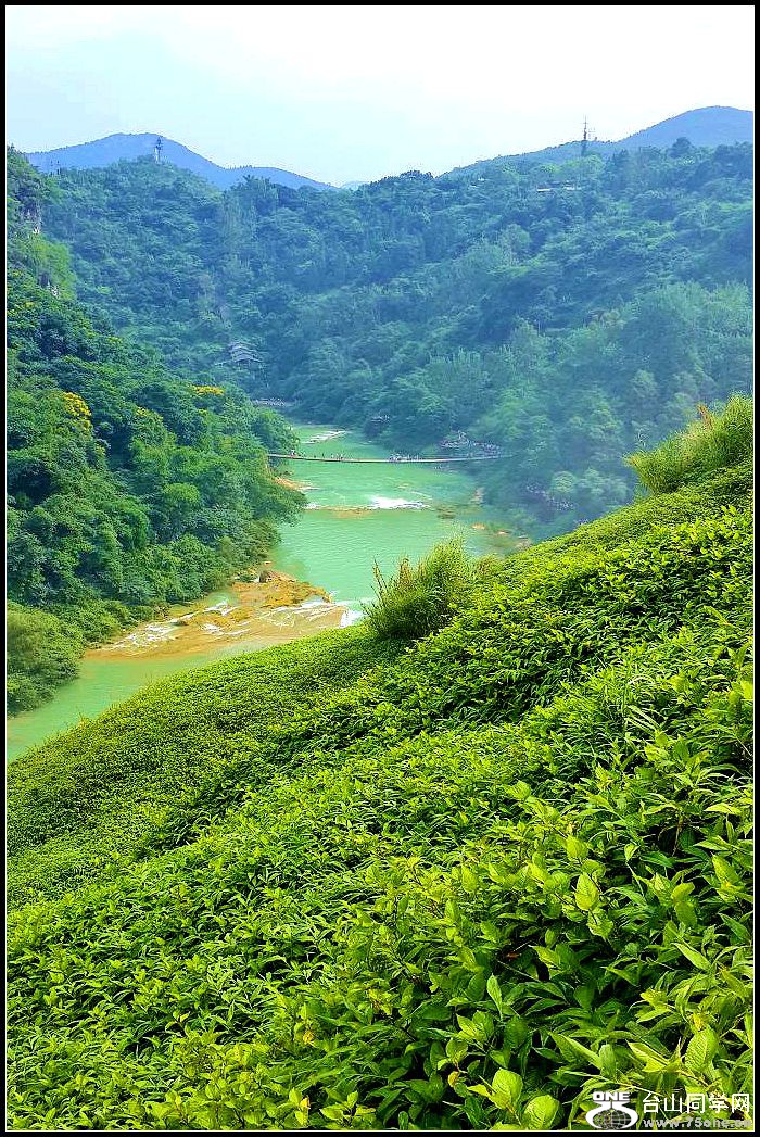 20150727_155530.jpg