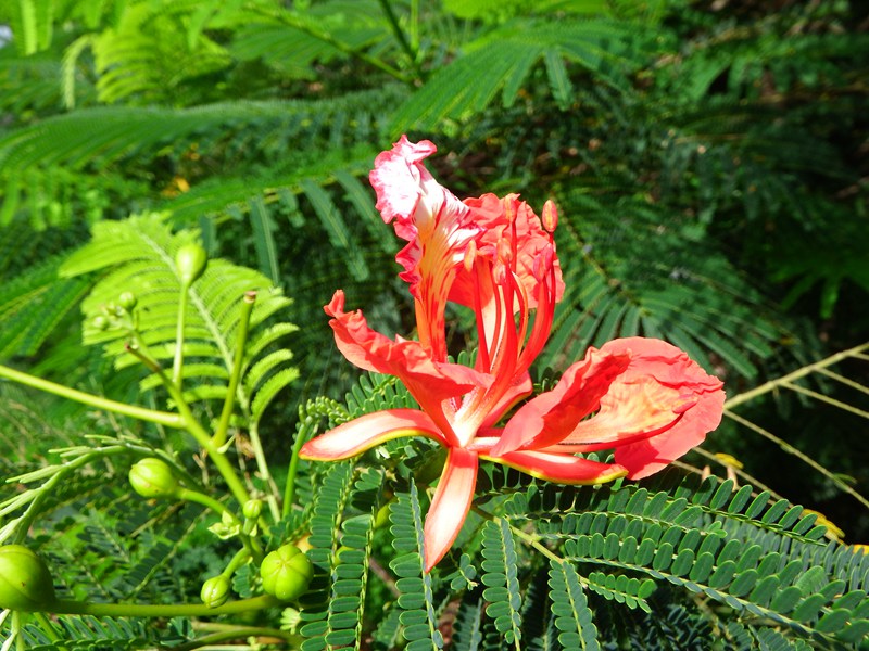 DSC_0004.jpg