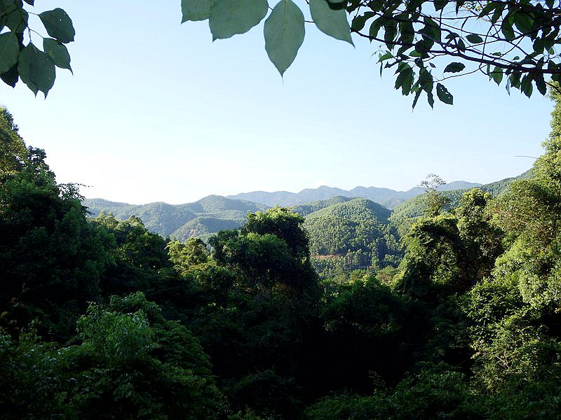 DSC_0008.jpg