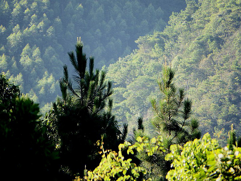 DSC_0011.jpg