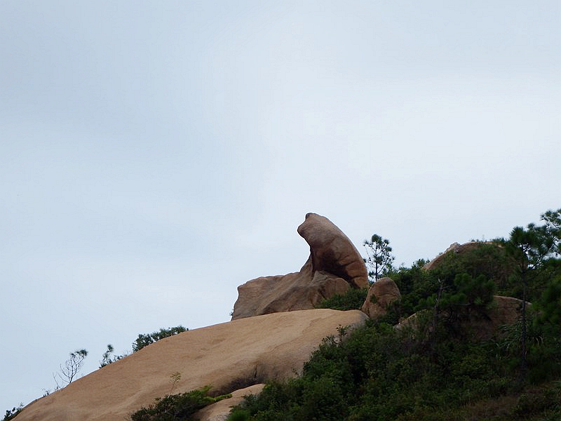DSC_0152.jpg