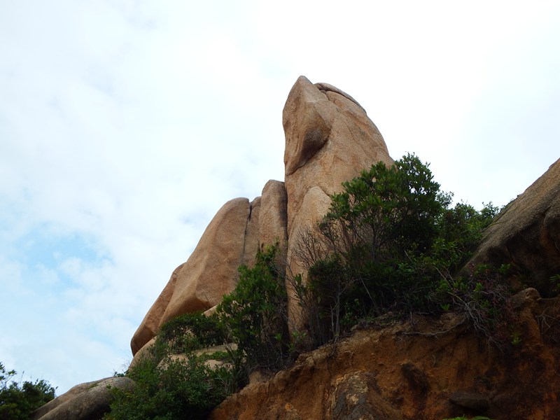 DSC_0198.jpg