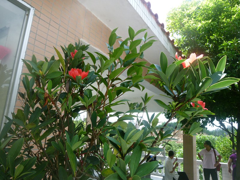 DSC_0001.jpg