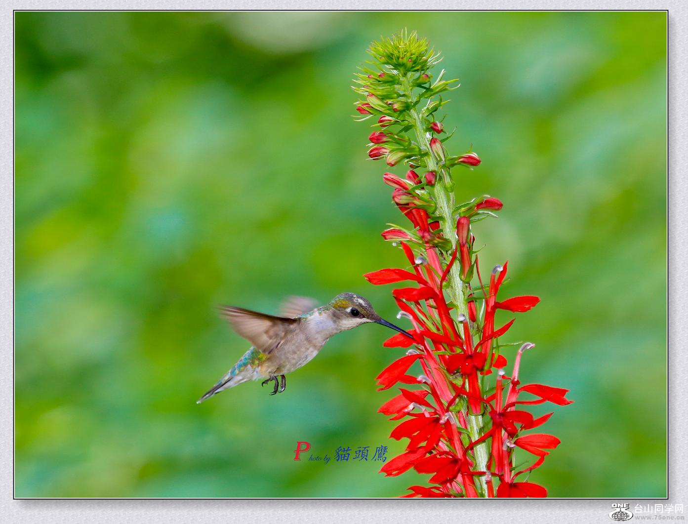 }u -8-1-15-B 077-2.jpg