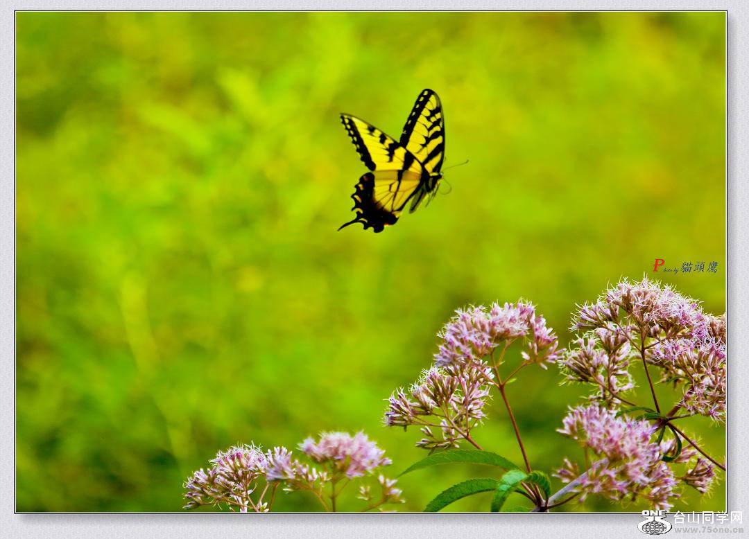 }u -8-2-15-B 212-2.jpg