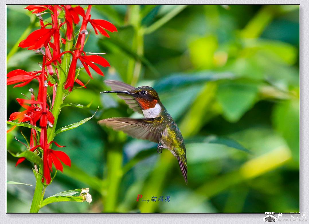 }u -8-2-15-B 062-3.jpg