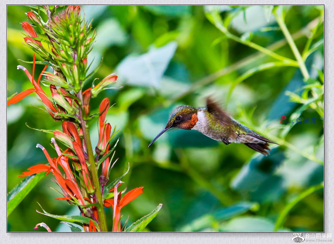 }u -8-2-15-B 011-4.jpg