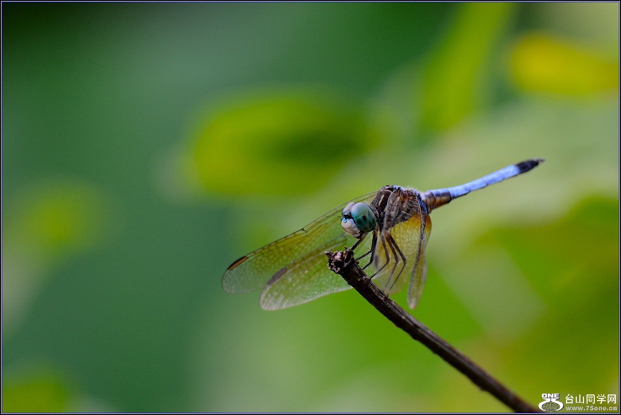 DSC_3830.jpg