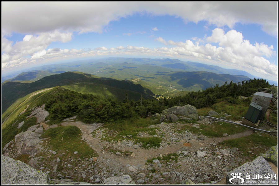 _MG_3320_.jpg