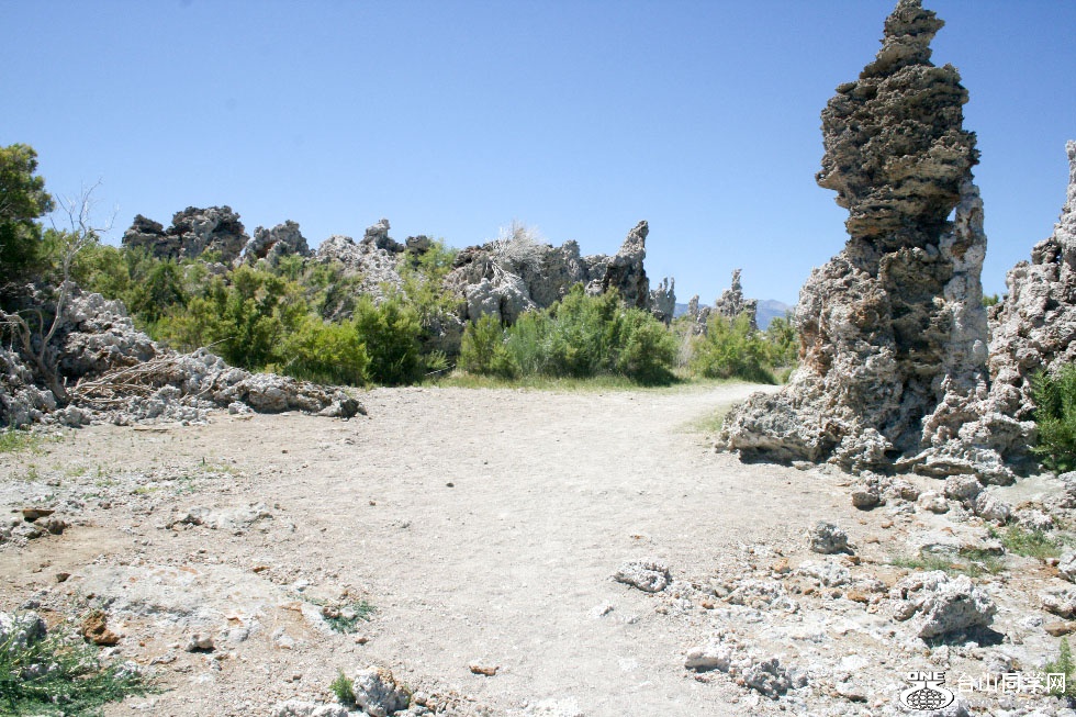 IMG_7727.JPG