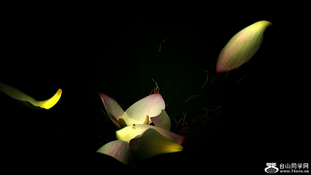 l2440366_conew2.jpg
