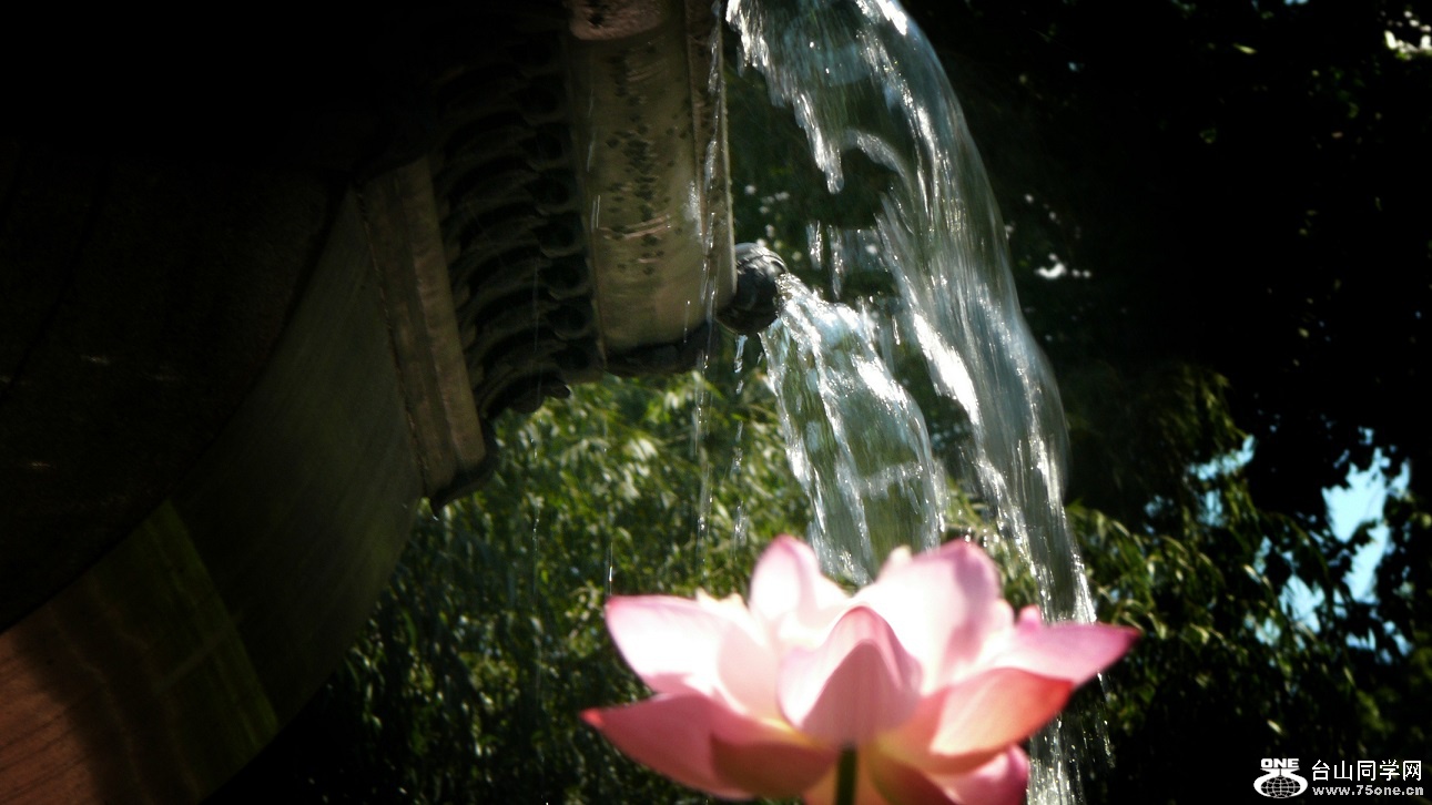 l2400620_conew1.jpg