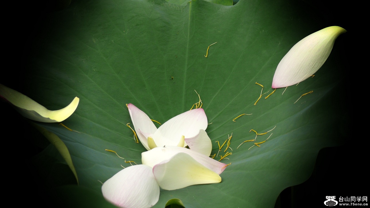 l2440365_conew2.jpg
