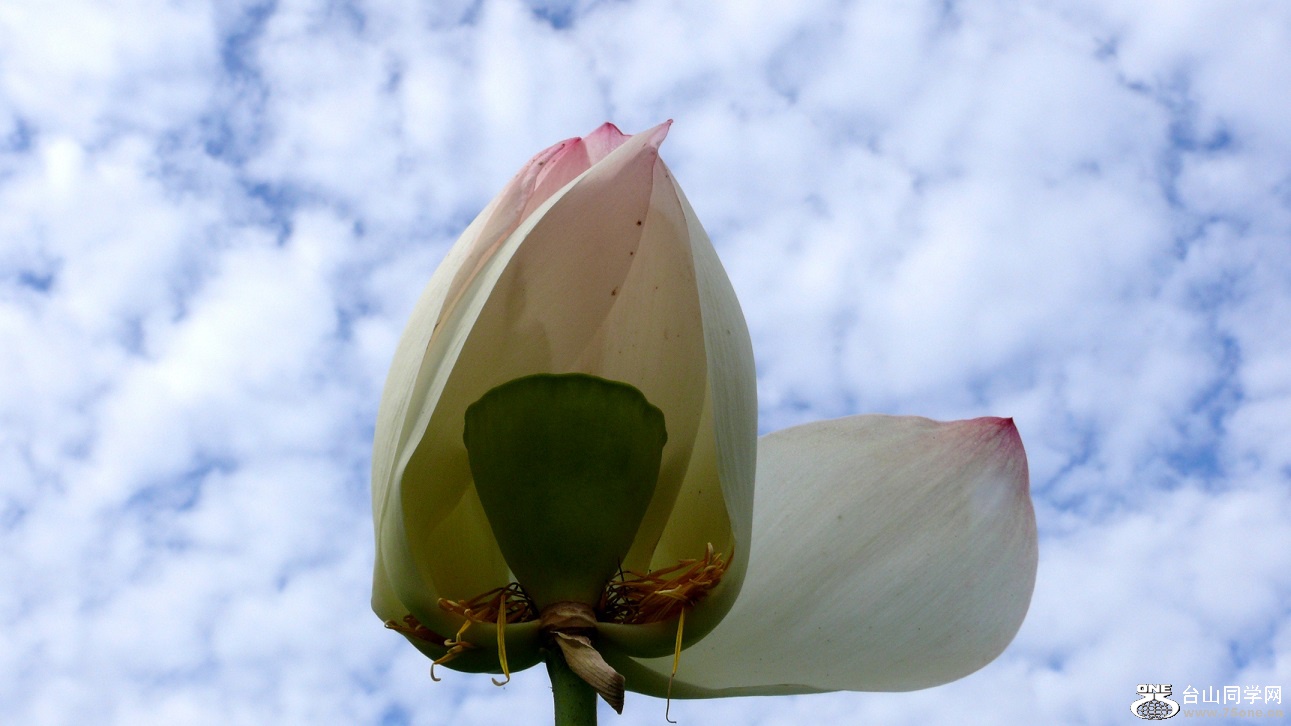 l2440216_conew1.jpg