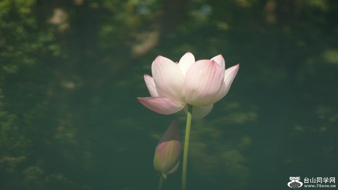 L2420380.JPG