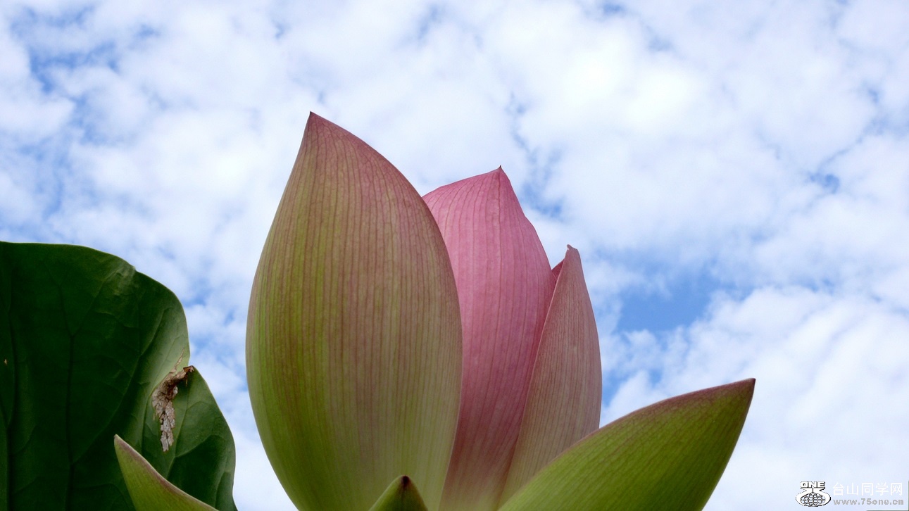 l2440214_conew1.jpg