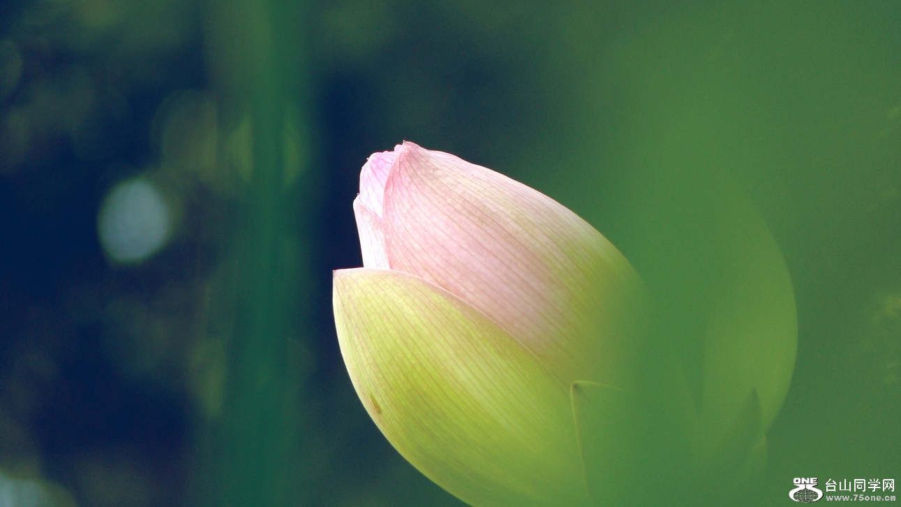 l2440367_conew1.jpg