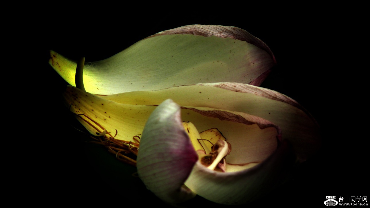 l2440434_conew3.jpg