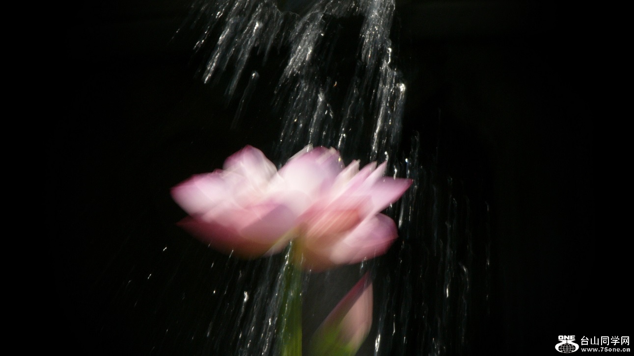 l2400478_conew1.jpg