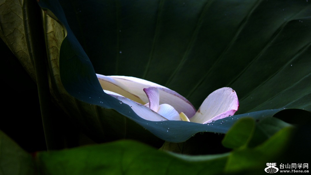 l2440345_conew1.jpg