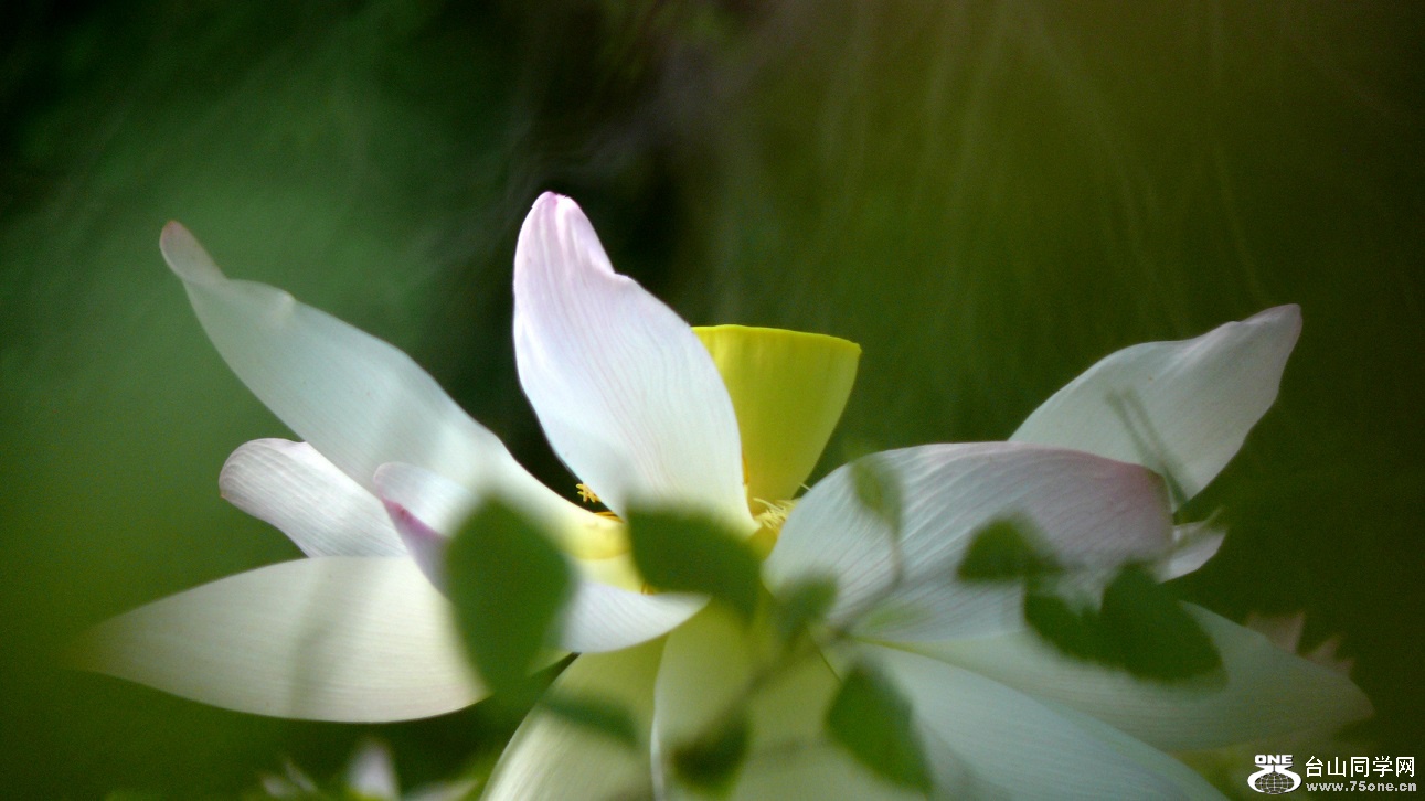 l2440358_conew2.jpg