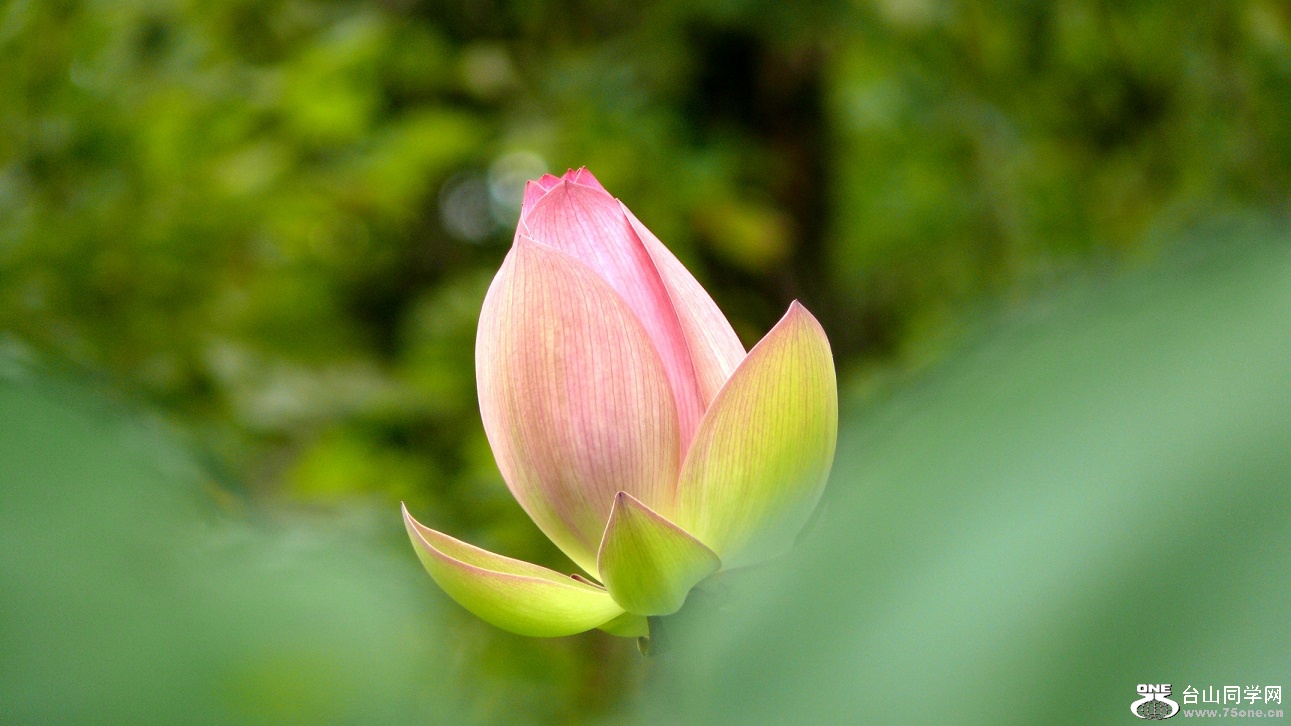 l2440407_conew1.jpg