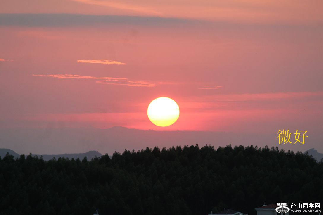 IMG_7333_.jpg