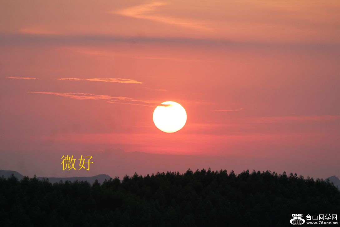 IMG_7328_.jpg