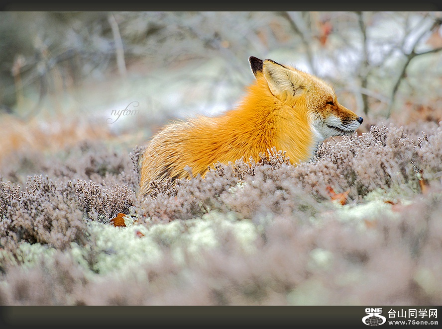 DSC_7915_.jpg