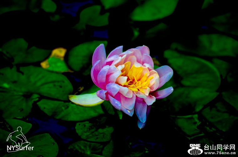 DSC_11470_1024.jpg