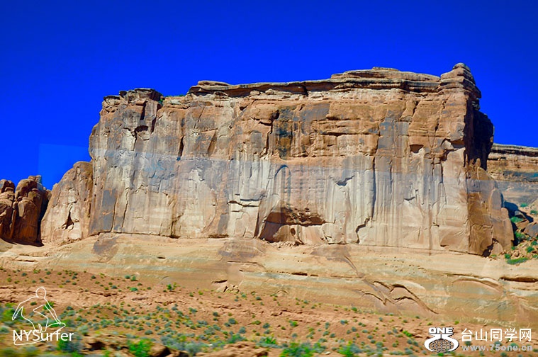 DSC_0815.jpg