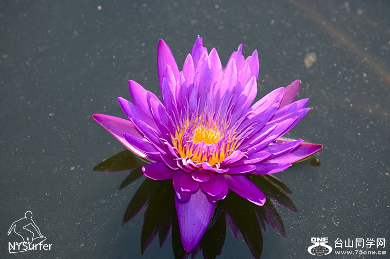 DSC_21179.jpg