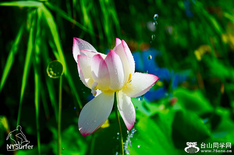 DSC_11891.jpg
