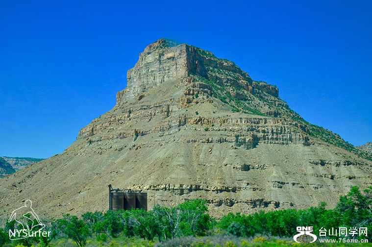 DSC_0872.jpg