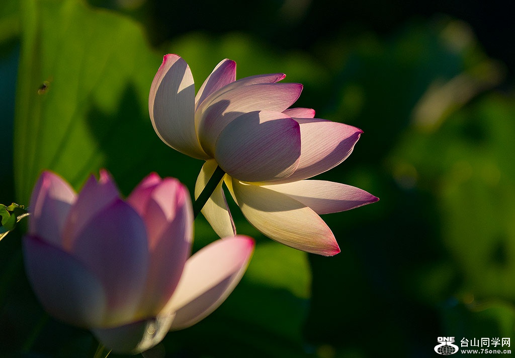 DSC_3889.jpg