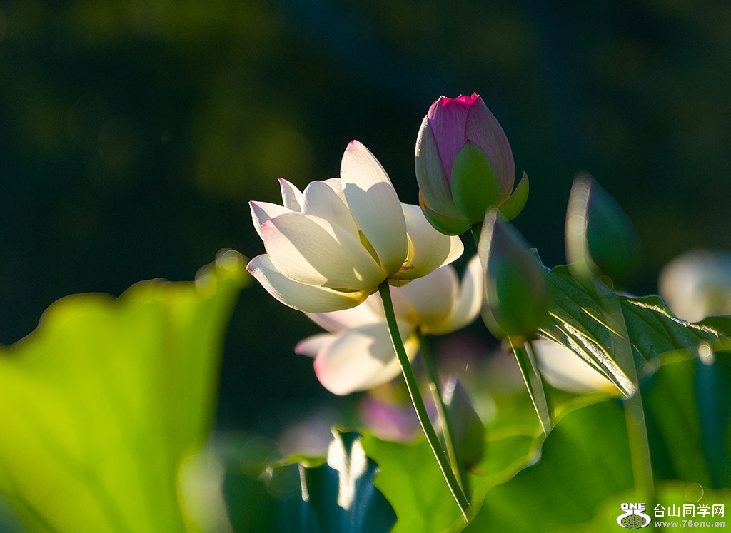 DSC_3898.jpg
