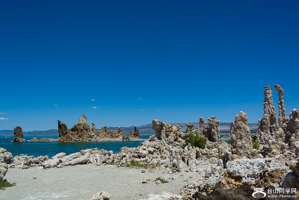 DSC_3540.jpg