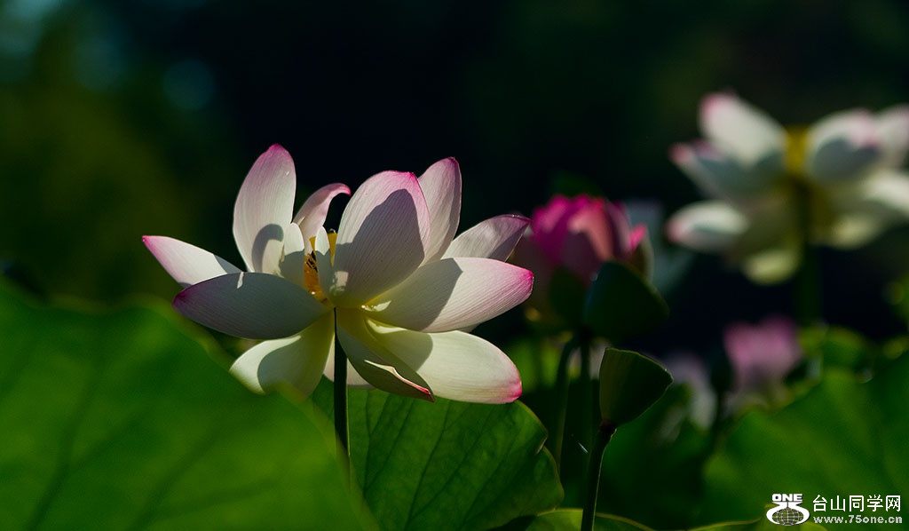DSC_4042.jpg