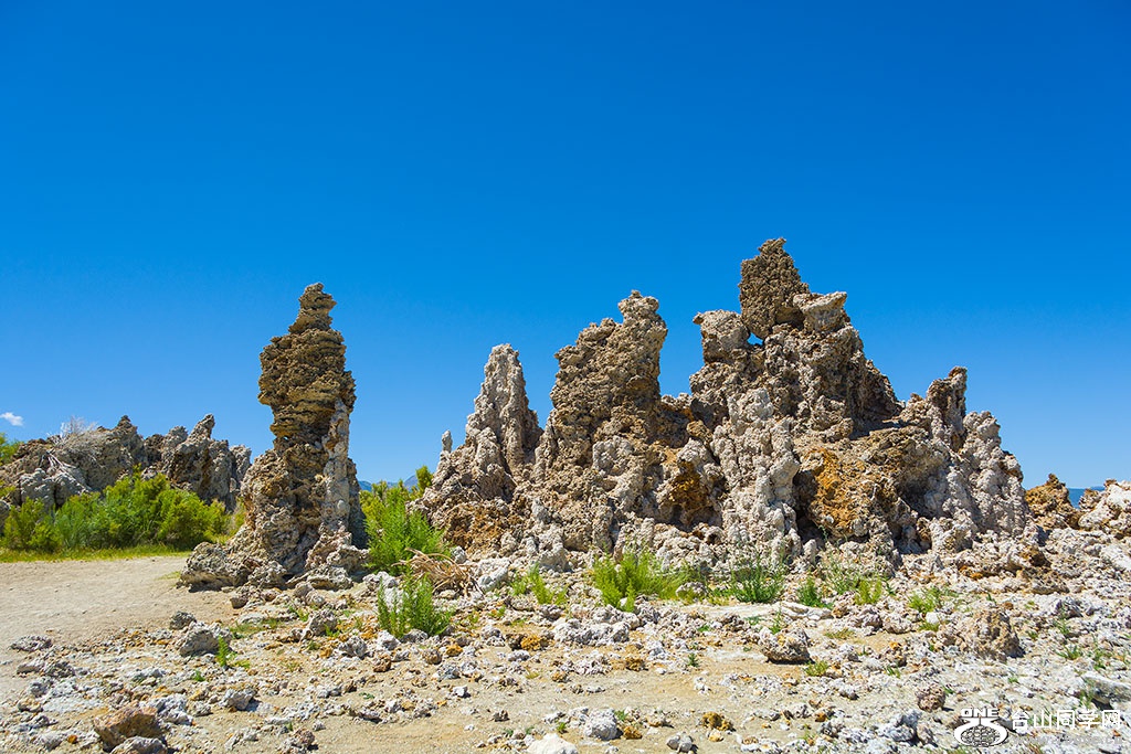 DSC_3519.jpg