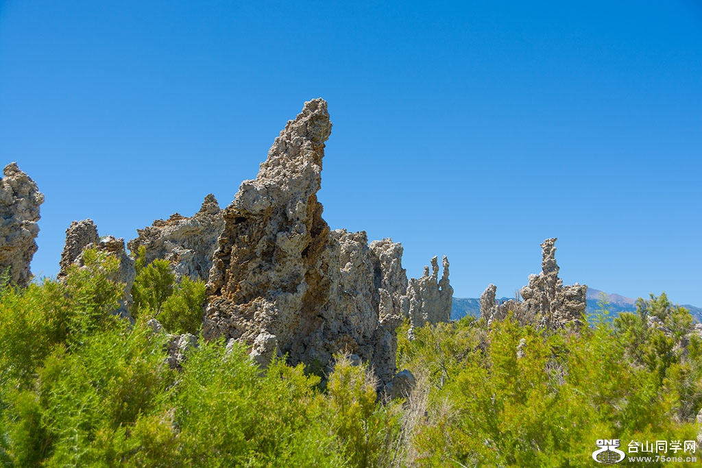 DSC_3521.jpg