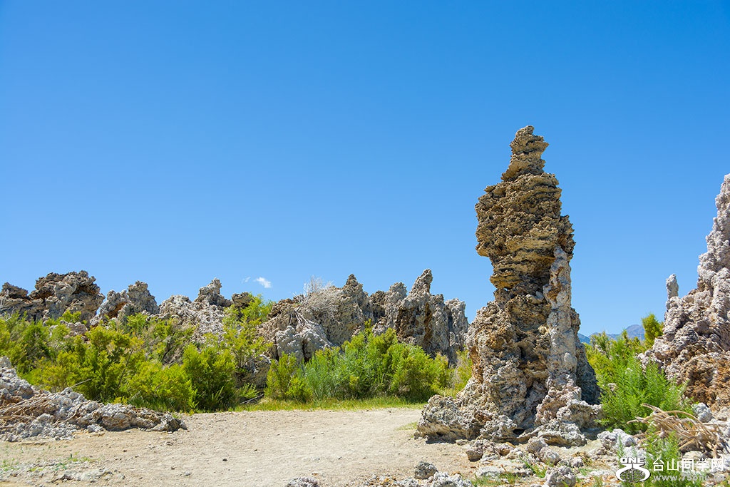 DSC_3520.jpg