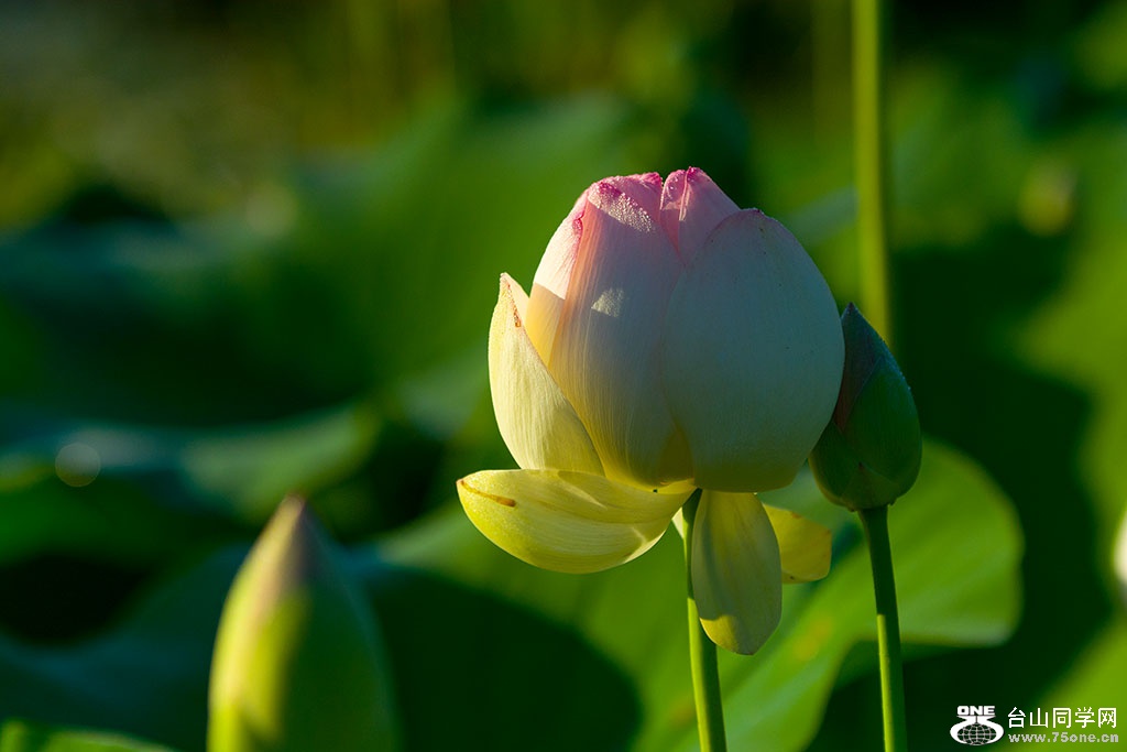 DSC_3990.jpg