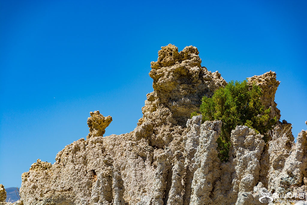 DSC_3566.jpg