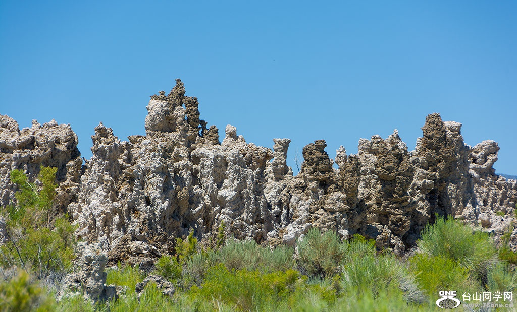 DSC_3478.jpg