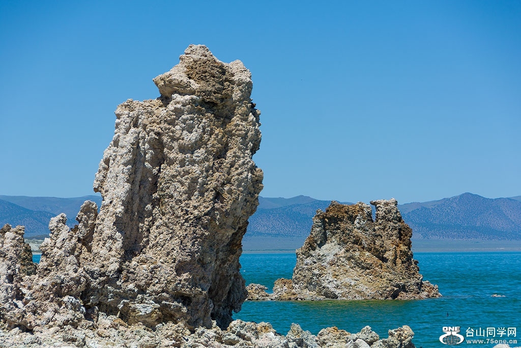 DSC_3493.jpg