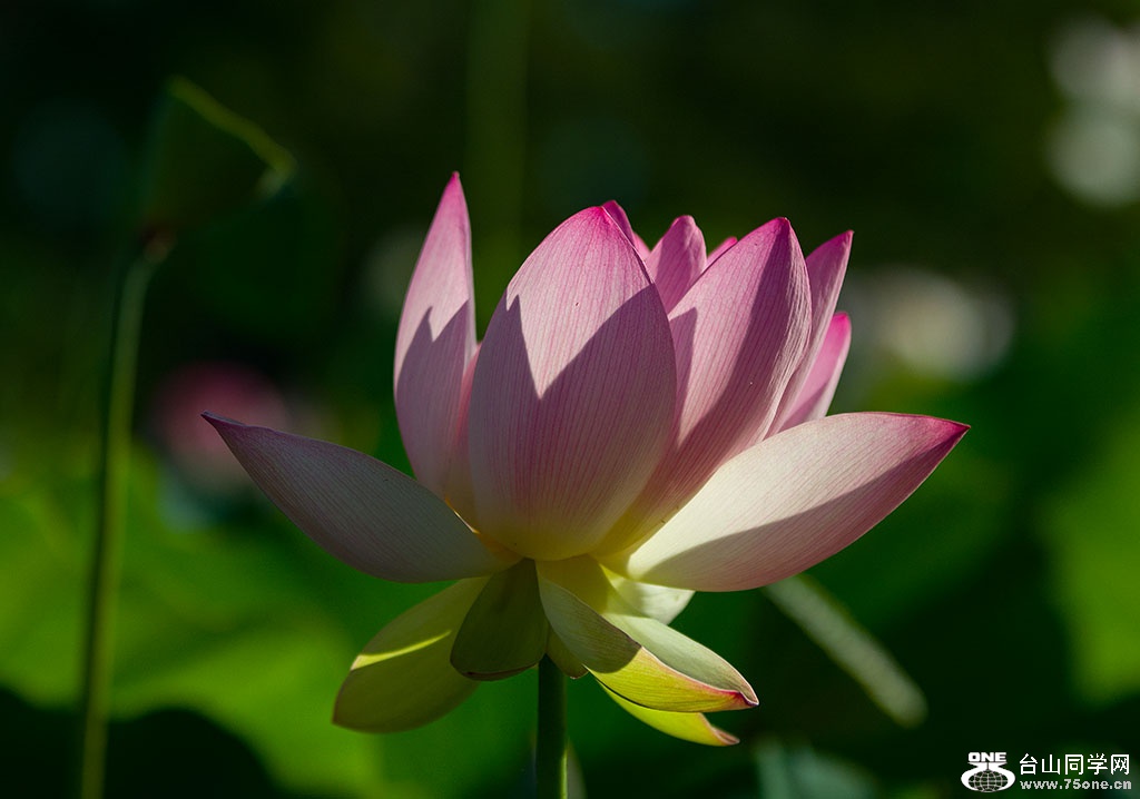 DSC_4041.jpg