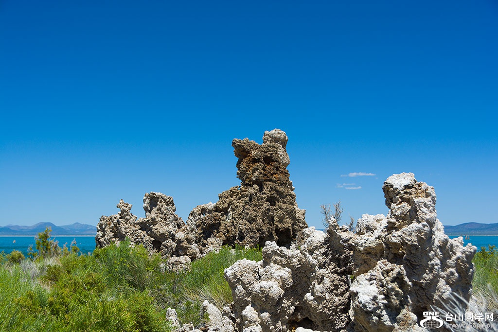 DSC_3488.jpg