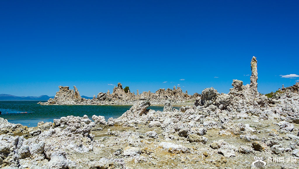 DSC_3572.jpg